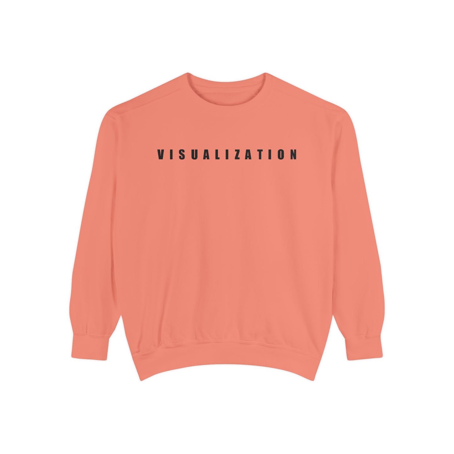 Visualization Crewneck Sweatshirt.